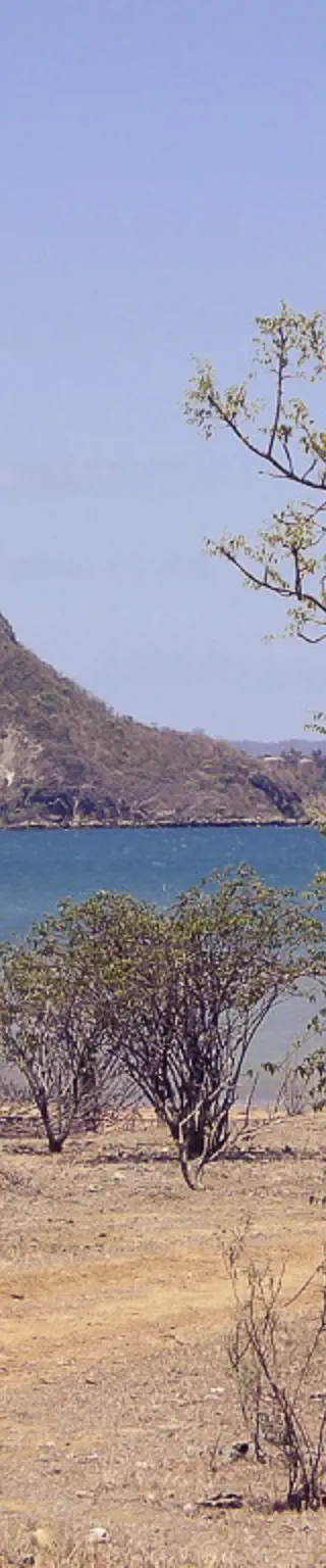 Geniesse einen erlebnisreichen Aufenthalt in Diego Suarez